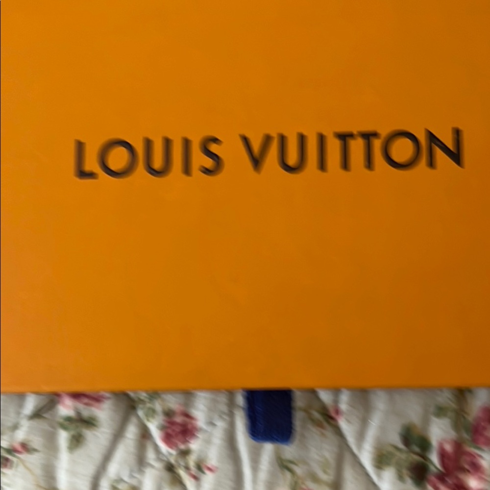 Louis Vuitton White Dust Bag and box - Picture 9 of 10